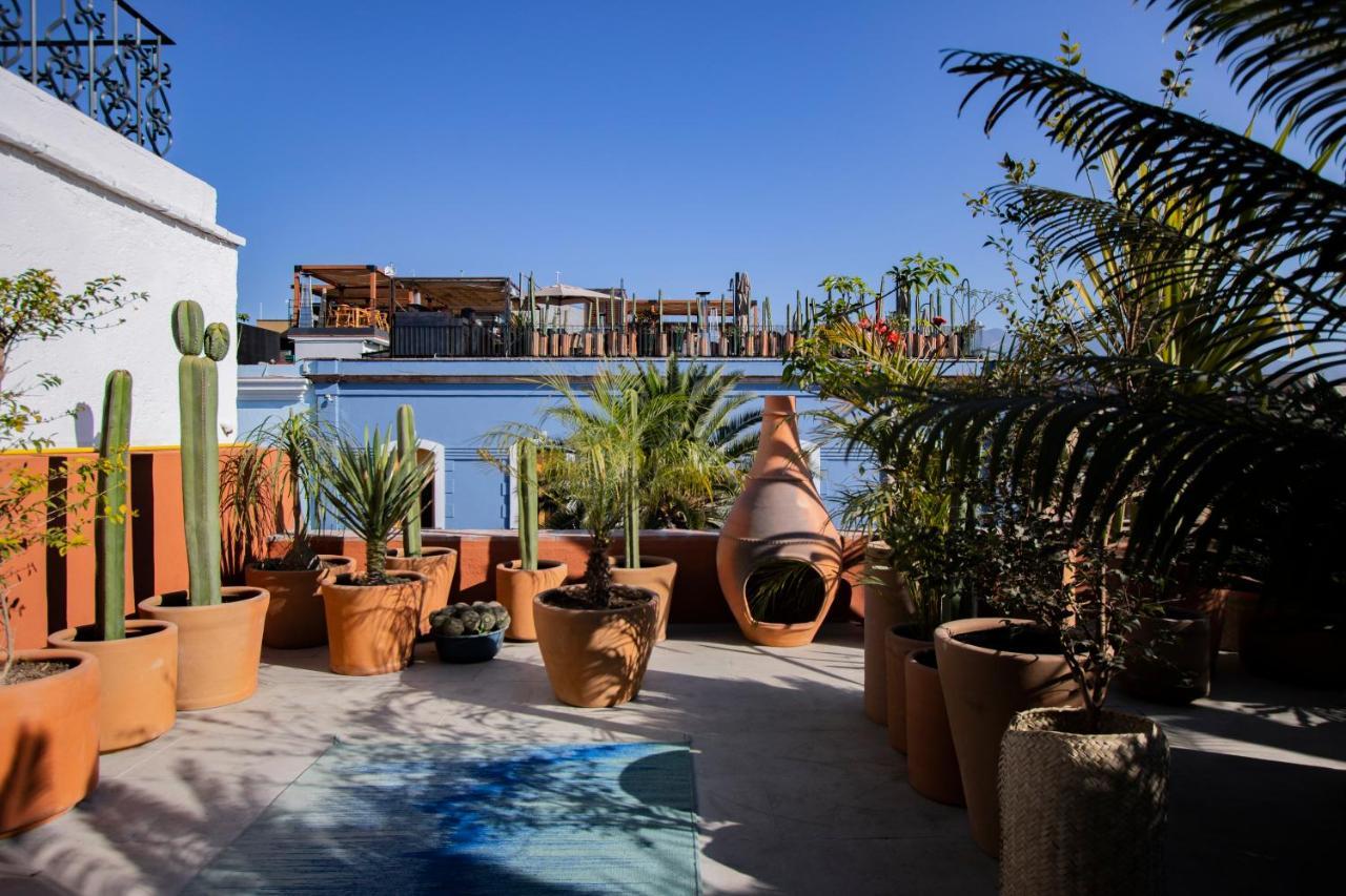 Hotel Los Amantes Oaxaca ภายนอก รูปภาพ