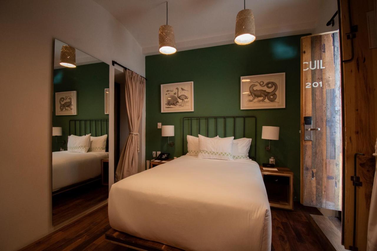 Hotel Los Amantes Oaxaca ภายนอก รูปภาพ